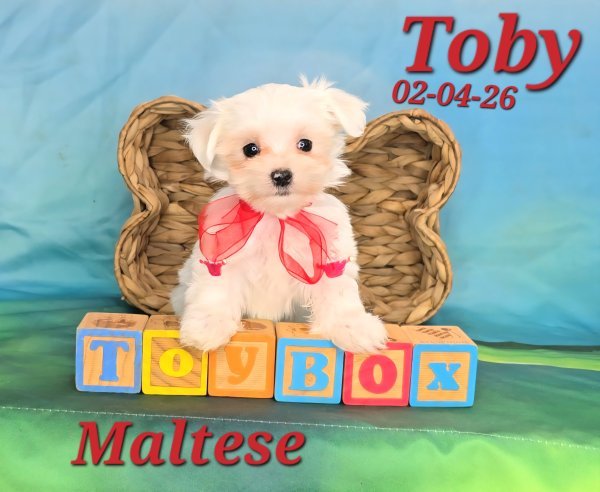 Screenshot_20260331_151415_Video Player.jpg