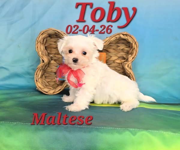 Screenshot_20260331_151454_Video Player.jpg