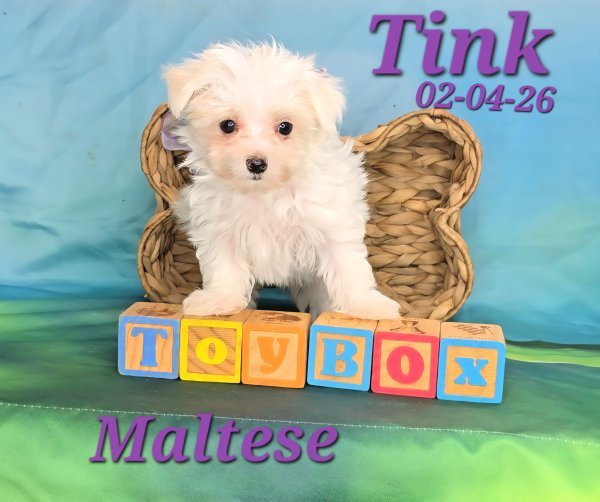 Screenshot_20260331_151102_Video Player.jpg