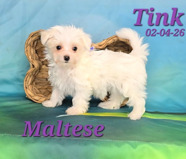 Screenshot_20260331_151116_Video Player.jpg