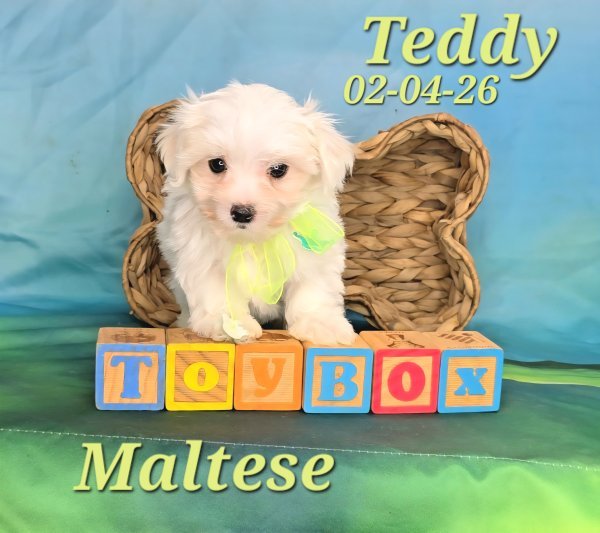 Screenshot_20260331_151343_Video Player.jpg