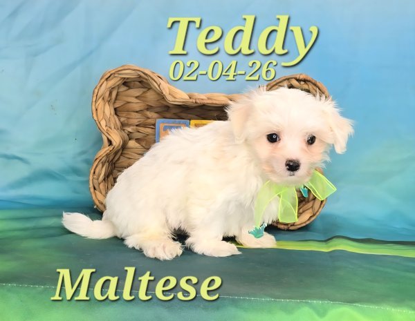 Screenshot_20260331_151217_Video Player.jpg