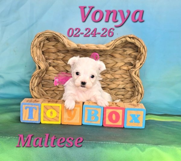 Screenshot_20260331_151022_Video Player.jpg