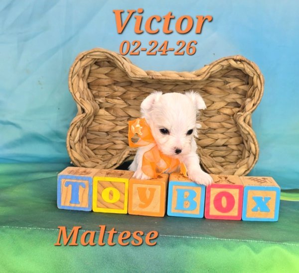 Screenshot_20260331_150649_Video Player.jpg