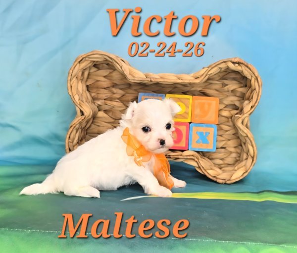 Screenshot_20260331_150543_Video Player.jpg